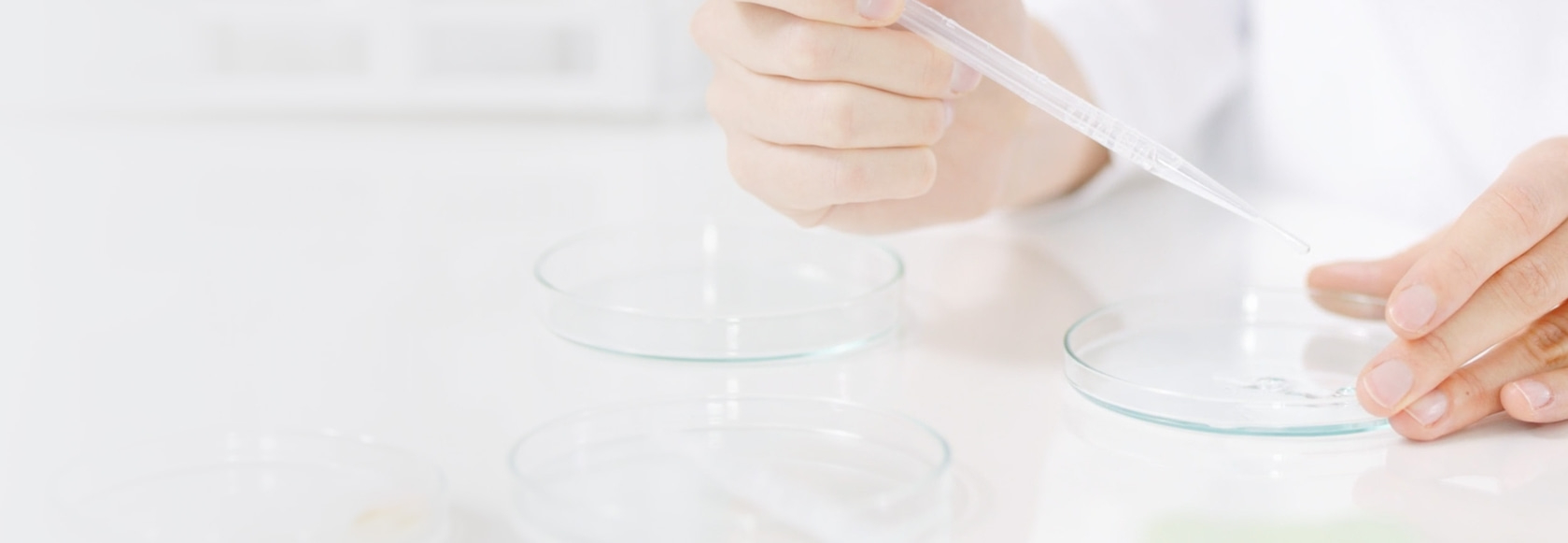 Nahaufnahme einer Person, die mit einer Pipette Flüssigkeit in eine Petrischale gibt.