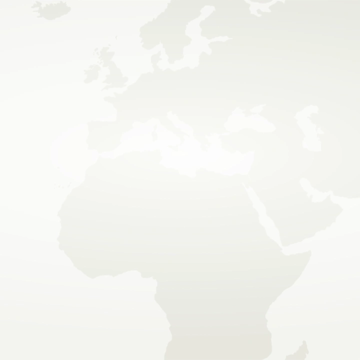 Mapa del mundo en gris claro, mostrando Europa, África y Oriente Medio