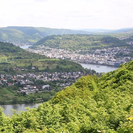 Landschaft mit Hügeln, Stadt am Fluss und üppiger Vegetation im Vordergrund.